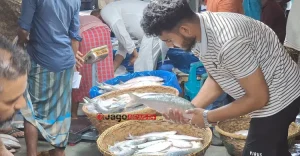 চাঁদপুরে সরবরাহ থাকলেও নাগালের বাইরে ইলিশ