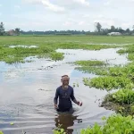 খাল ভরাট করে দখল, জলাবদ্ধতায় শেরপুরে ৬০০ একর জমি