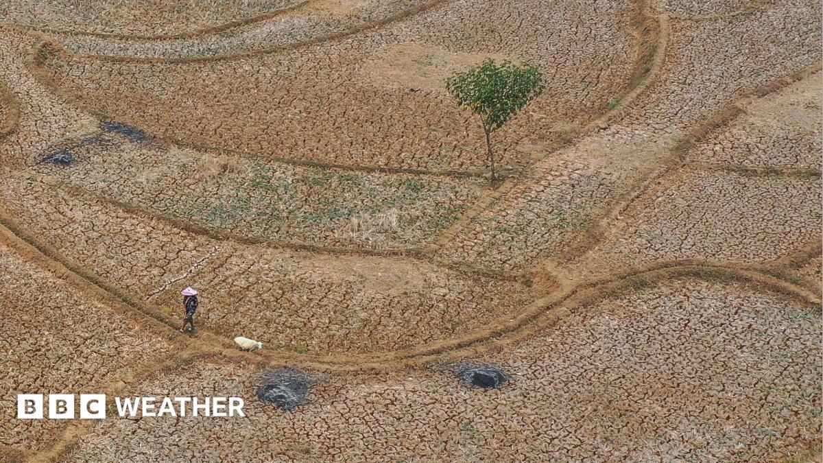5 methods El Niño is affecting the climate all over the world