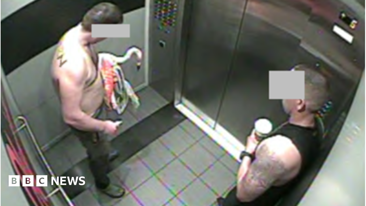 Canadian vacationer responsible of animal cruelty after stealing Las Vegas flamingo