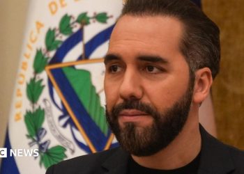 El Salvador president says our bodies present in Haiti are usually not these of hostages