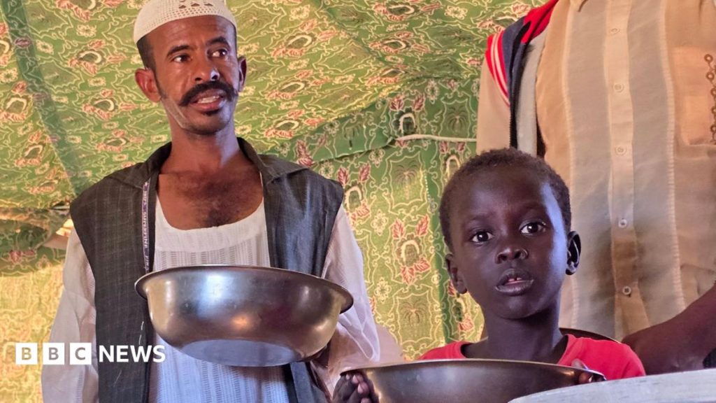 Sudan warfare: West warns of famine danger