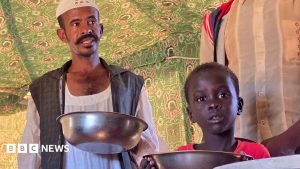 Sudan warfare: West warns of famine danger