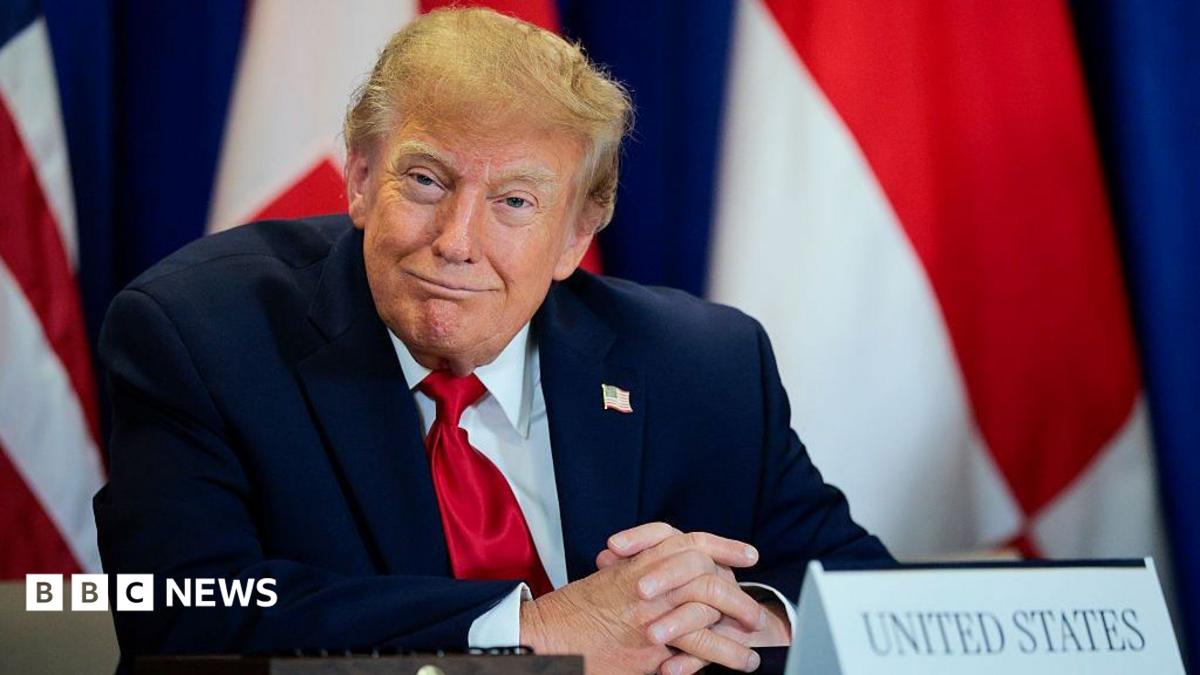 Trump’s AI rebrand causes ‘unprecedented’ demand for Slovenian web site names