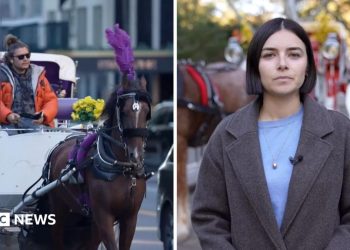 Watch: New York bans horse-drawn carriages after greater than 160 years