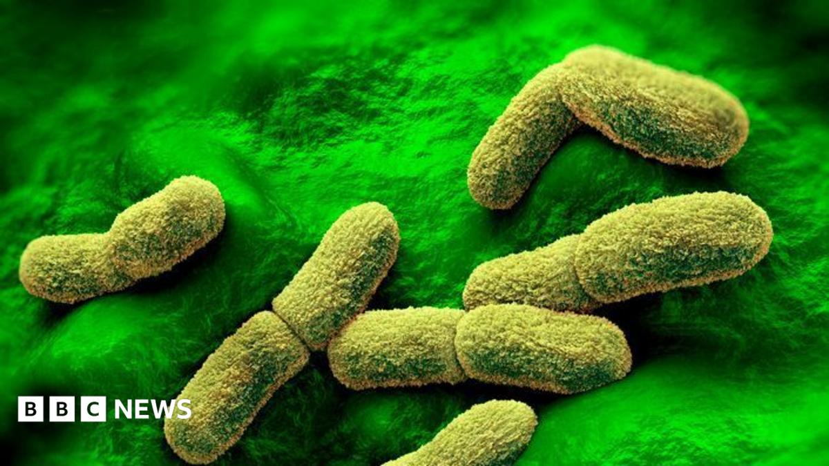 US ‘watching intently’ after plague researcher dies in Russia
