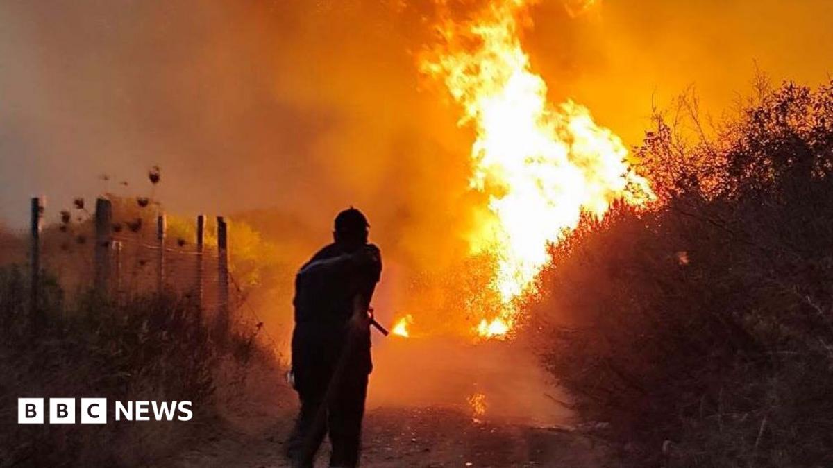 Algeria introduces loss of life penalty for arsonists after wildfires