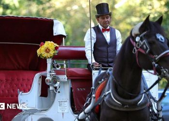 New York Metropolis bans horse-drawn carriages over security and abuse issues