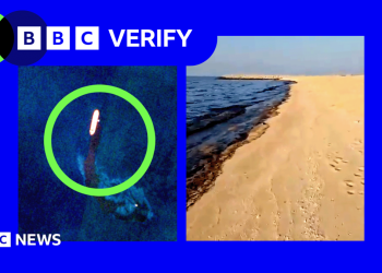 Oil spill washes up on UAE seashores after tanker strike