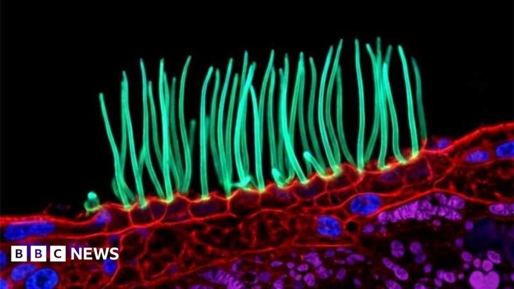 ce7836b0-bcea-11f1-8ce2-417f8f7cb095.jpg