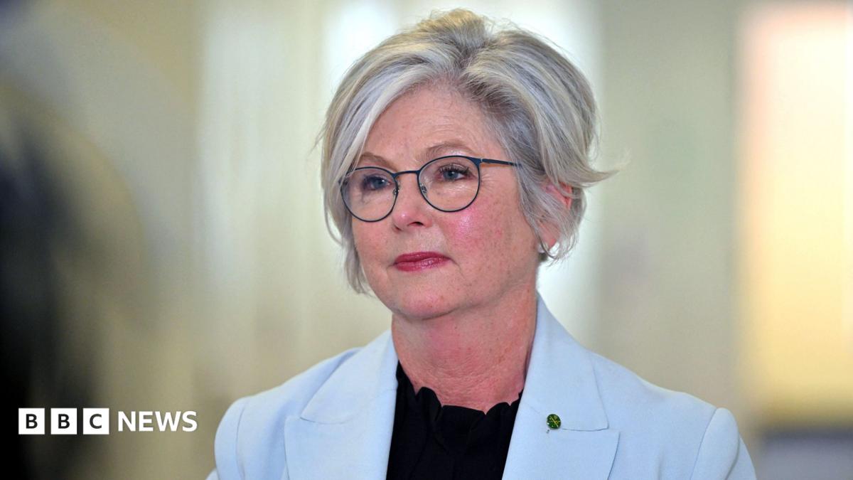 Australian MP critically injured after being hit by automotive in obvious assault