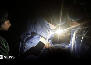 Sudan hospitals intentionally focused in el-Fasher by RSF fighters, BBC investigation finds